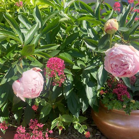 Logis Cote Jardin Villa Varennes-les-Narcy Bagian luar foto